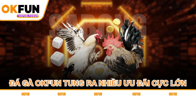 Đá gà OKFUN tung ra nhiều ưu đãi cực lớn