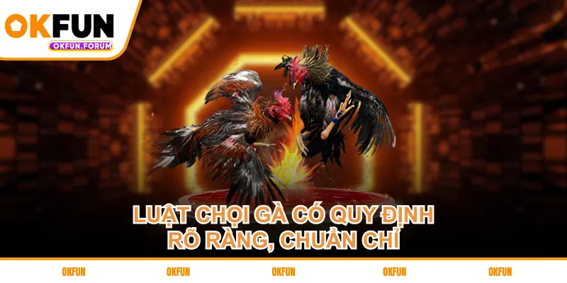 Luật chọi gà có quy định rõ ràng, chuẩn chỉ