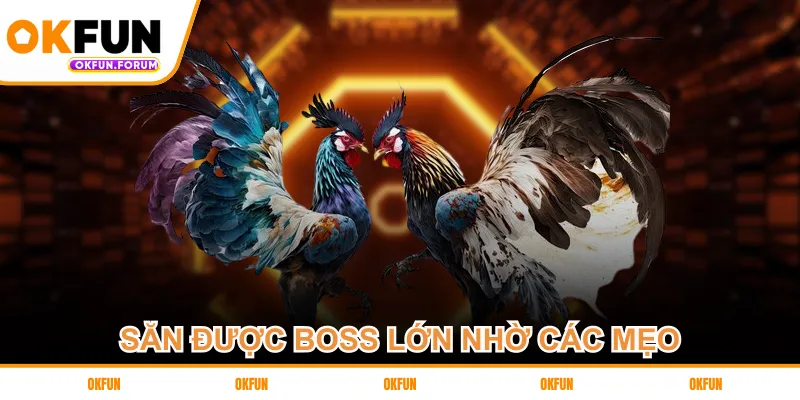Săn được boss lớn nhờ các mẹo 